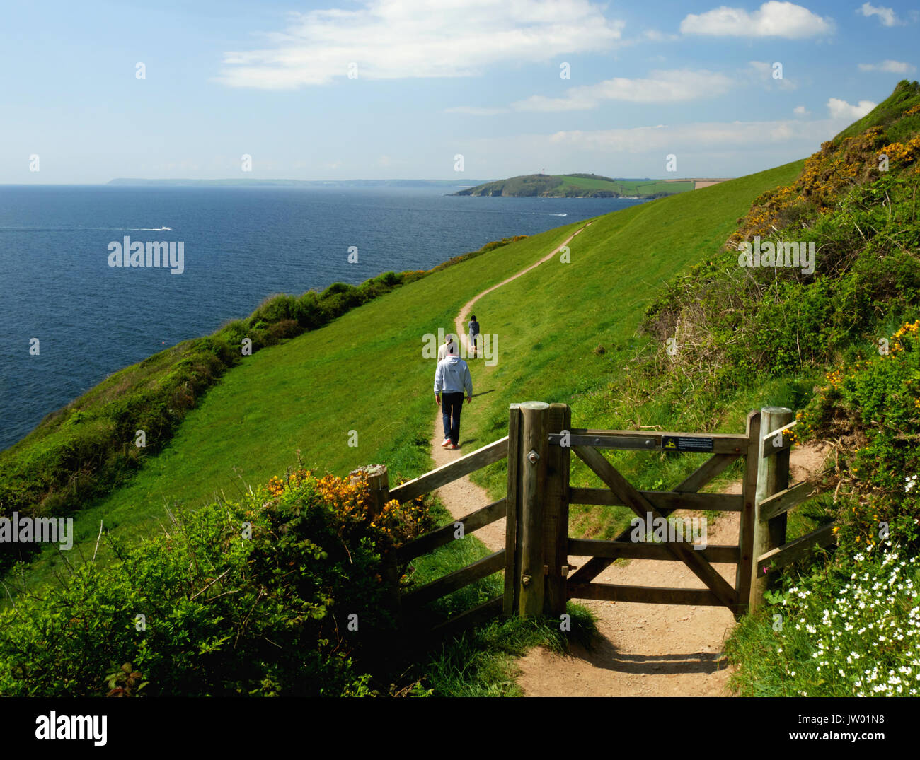 Le sentier du littoral entre Lantivet Bay et Polruan à Cornwall, en regardant vers la Gribbin près de Fowey. Banque D'Images