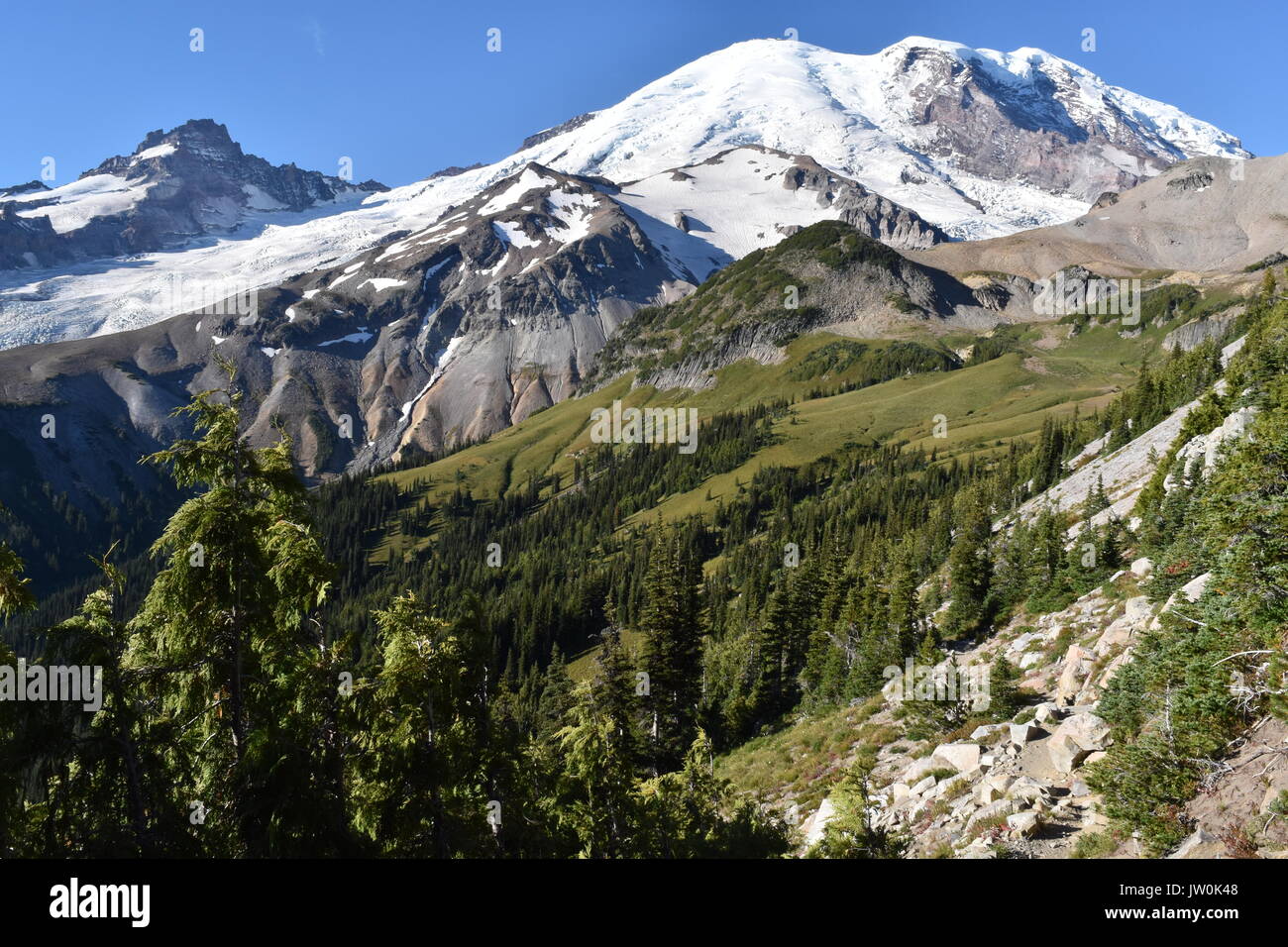 Le mont Rainier National Park - Burroughs Mountain Trail Banque D'Images