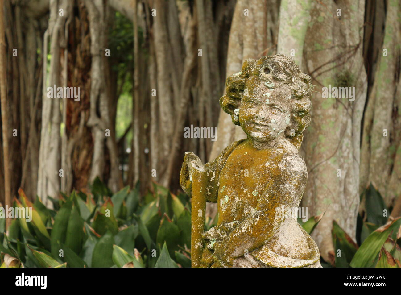 Une statue vintage dans un jardin entouré de palmiers et d'arbres banyan. Banque D'Images