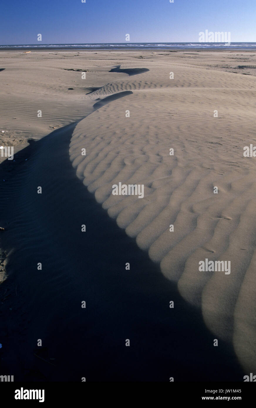 Plage des dunes, Pacific Beach State Park, Washington Banque D'Images