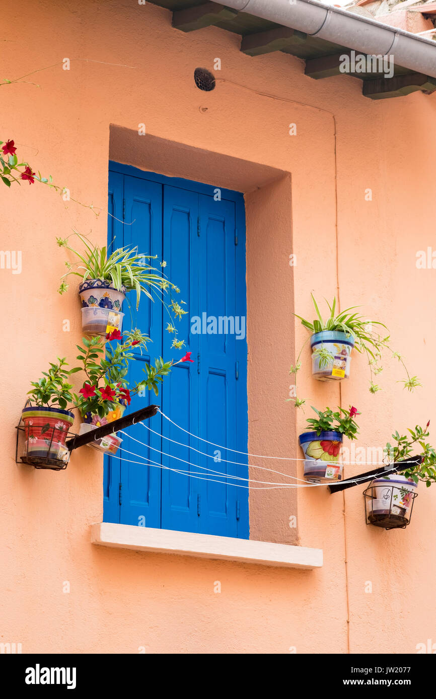 Plantes en pot décoration chambre à Collioure, Espagne. Banque D'Images