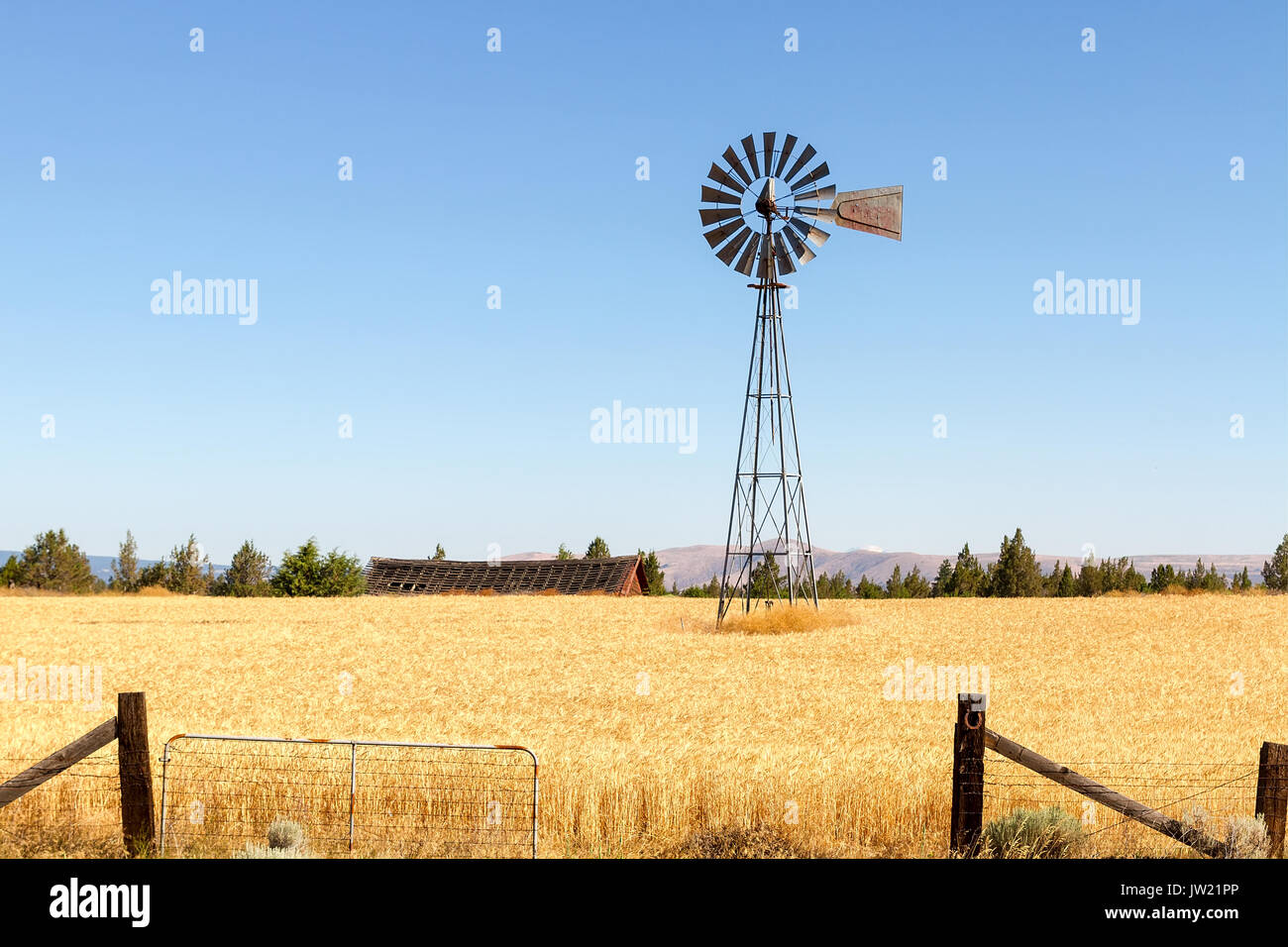 Le pompage de l'eau Moulin à champ de blé dans les régions rurales de l'Oregon central contre un fond de ciel bleu clair Banque D'Images