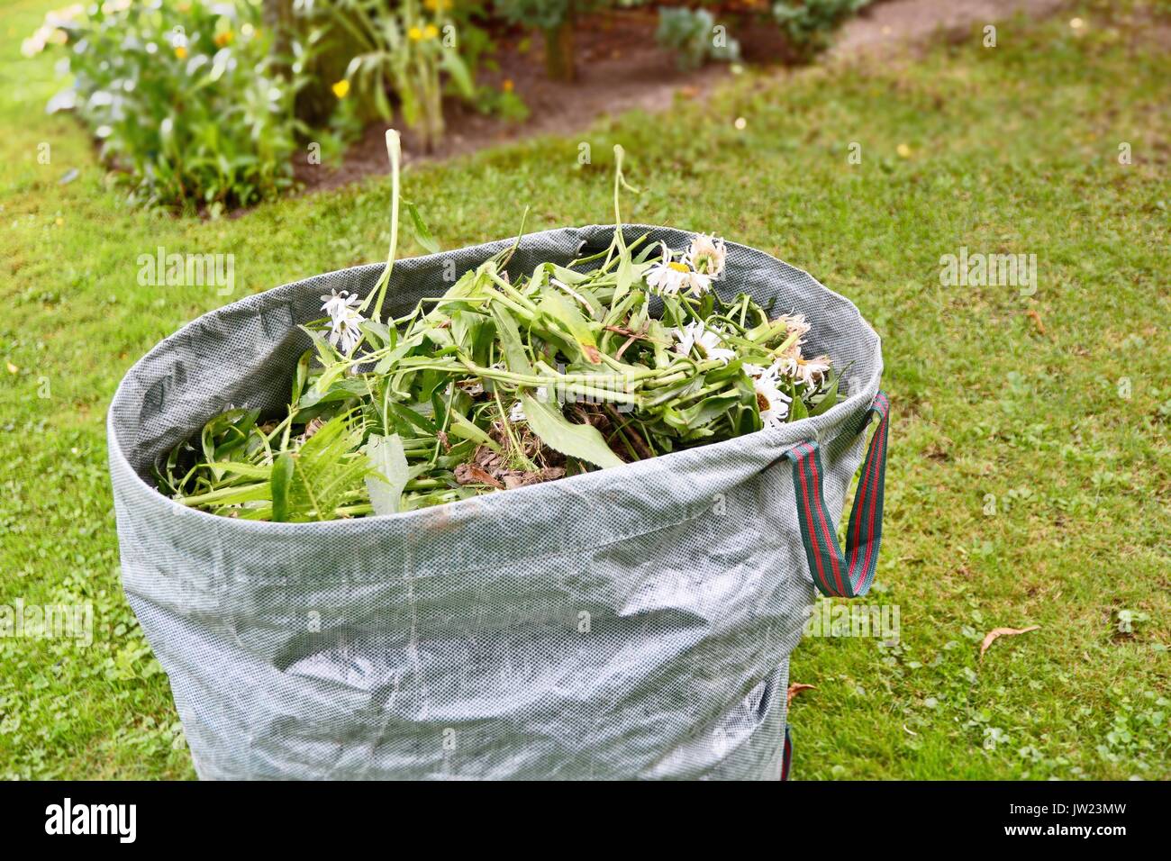 Jardin plein de mauvaises herbes mauvaises herbes avec sac et les plantes dans le jardin. Banque D'Images