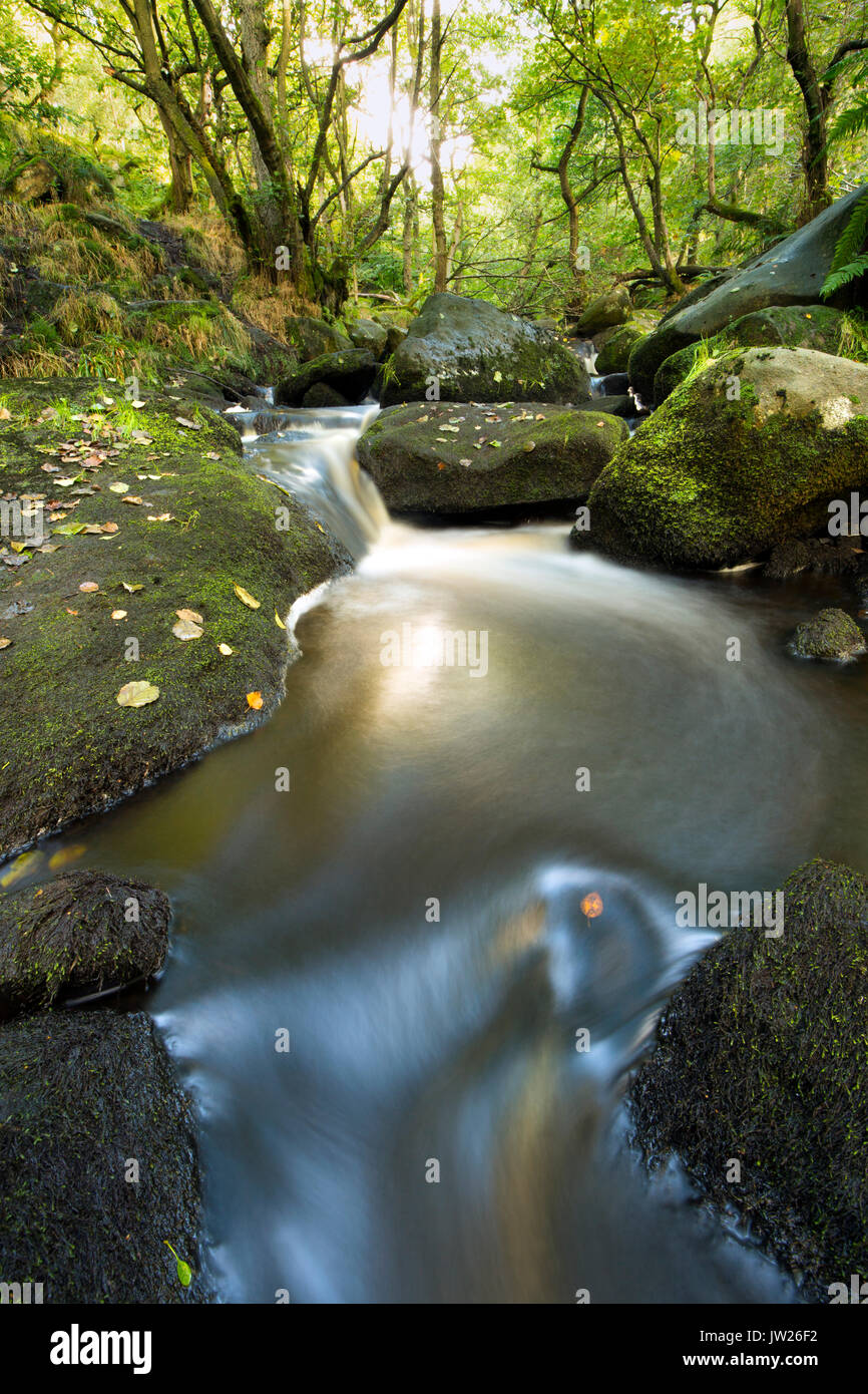 Padley gorge ; Derbyshire ; Royaume-Uni Banque D'Images