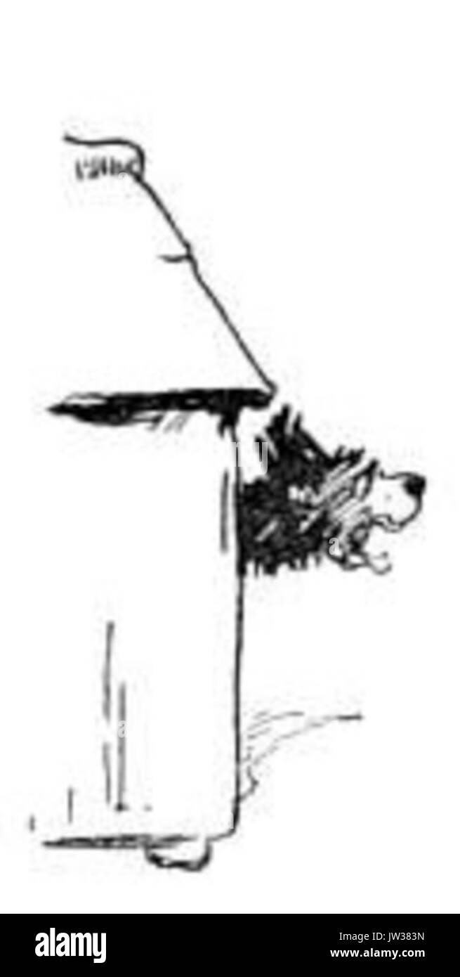 Petit chien féroce Banque D'Images