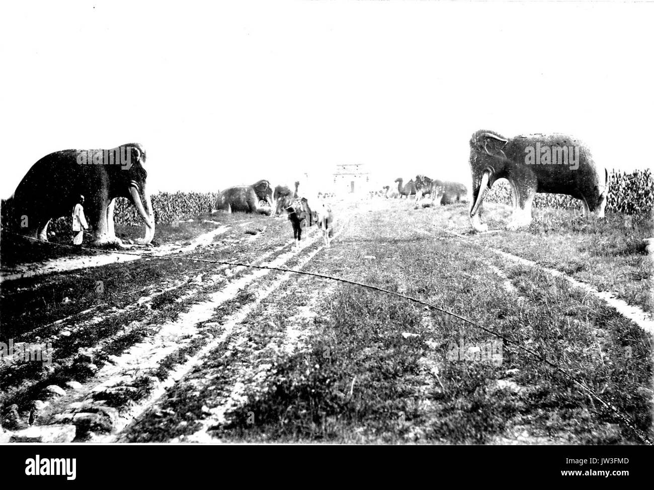Les Tombeaux Ming 025 Banque D'Images