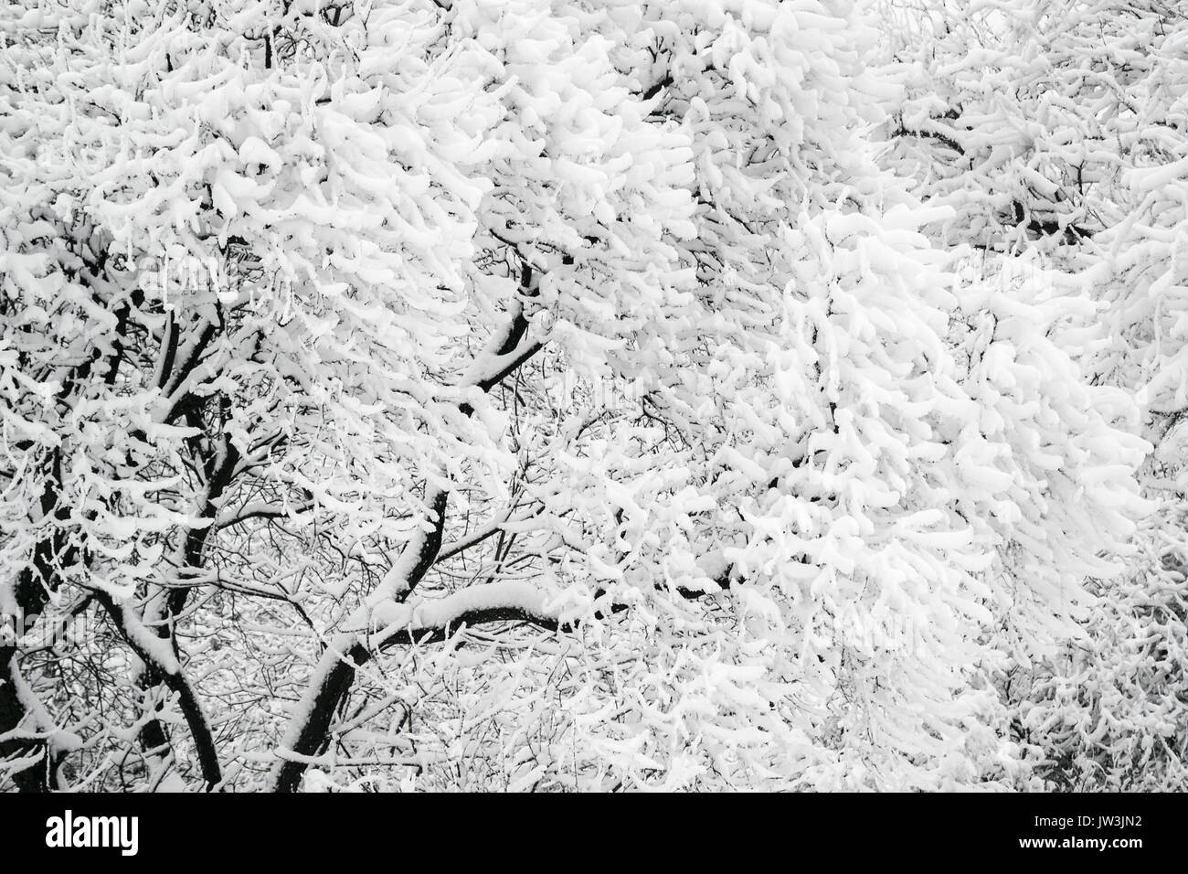 La ville de Dnipropetrovsk région de Dniepropetrovsk, Ukraine, 2017 Banque D'Images