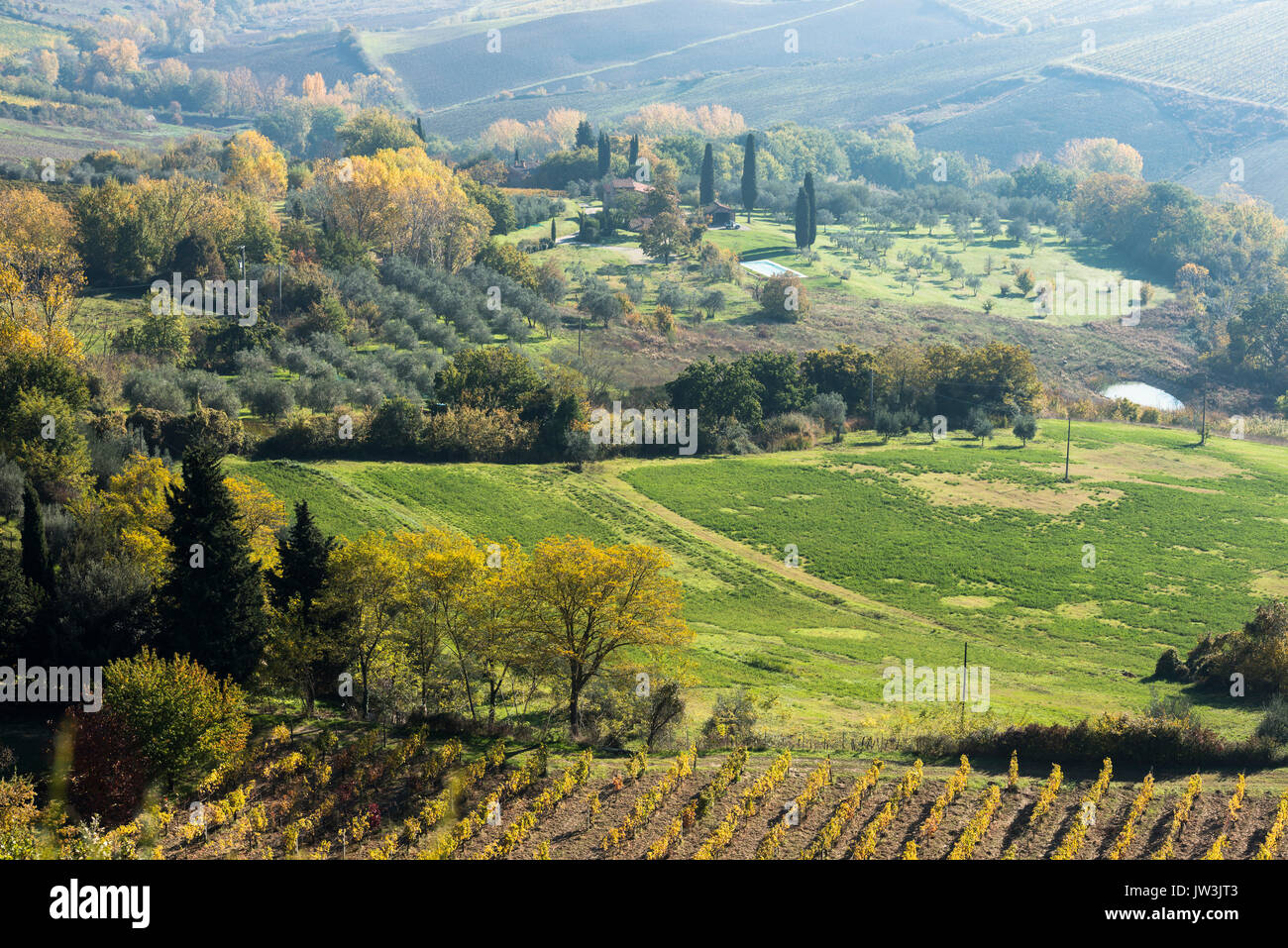 Un paysage typique de la Toscane avec grande vert, jaune et rouge, les lignes de champs de vigne d'oliviers, des petits immeubles, les allées de cyprès et d'autumn Banque D'Images