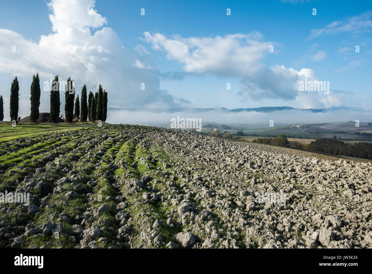 Vue générale de la Toscane labouré le sol fertile et quelques cyprès vert avec un bleu ciel nuageux Banque D'Images