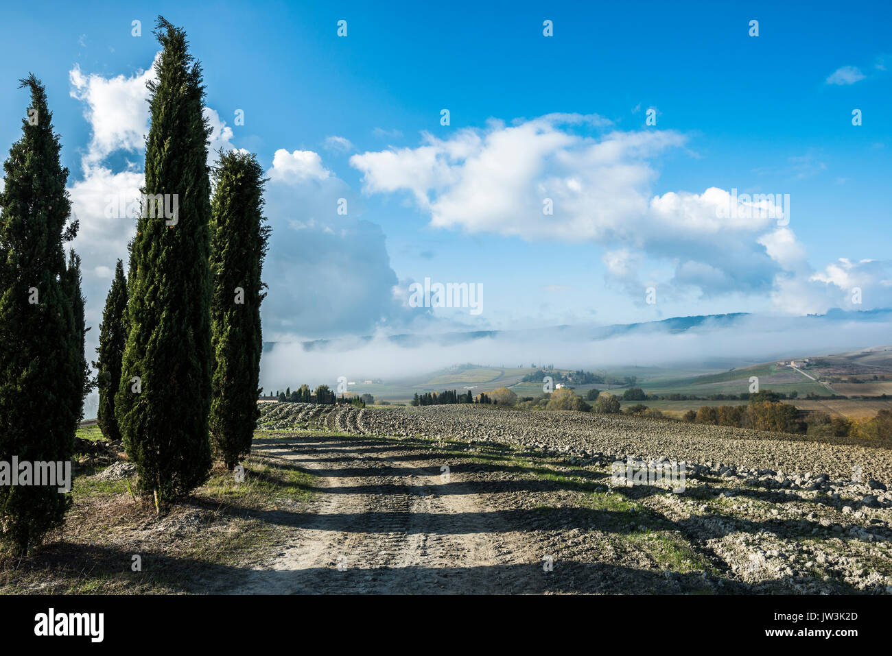 Fermer la vue de la Toscane labouré le sol fertile et quelques cyprès vert avec un bleu ciel nuageux Banque D'Images
