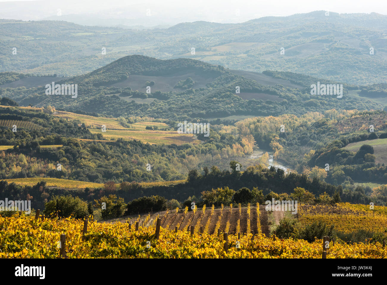 Un paysage de Toscane avec de vertes collines, couvert par les arbres aux couleurs automnales, une rivière et un petit vignoble Banque D'Images