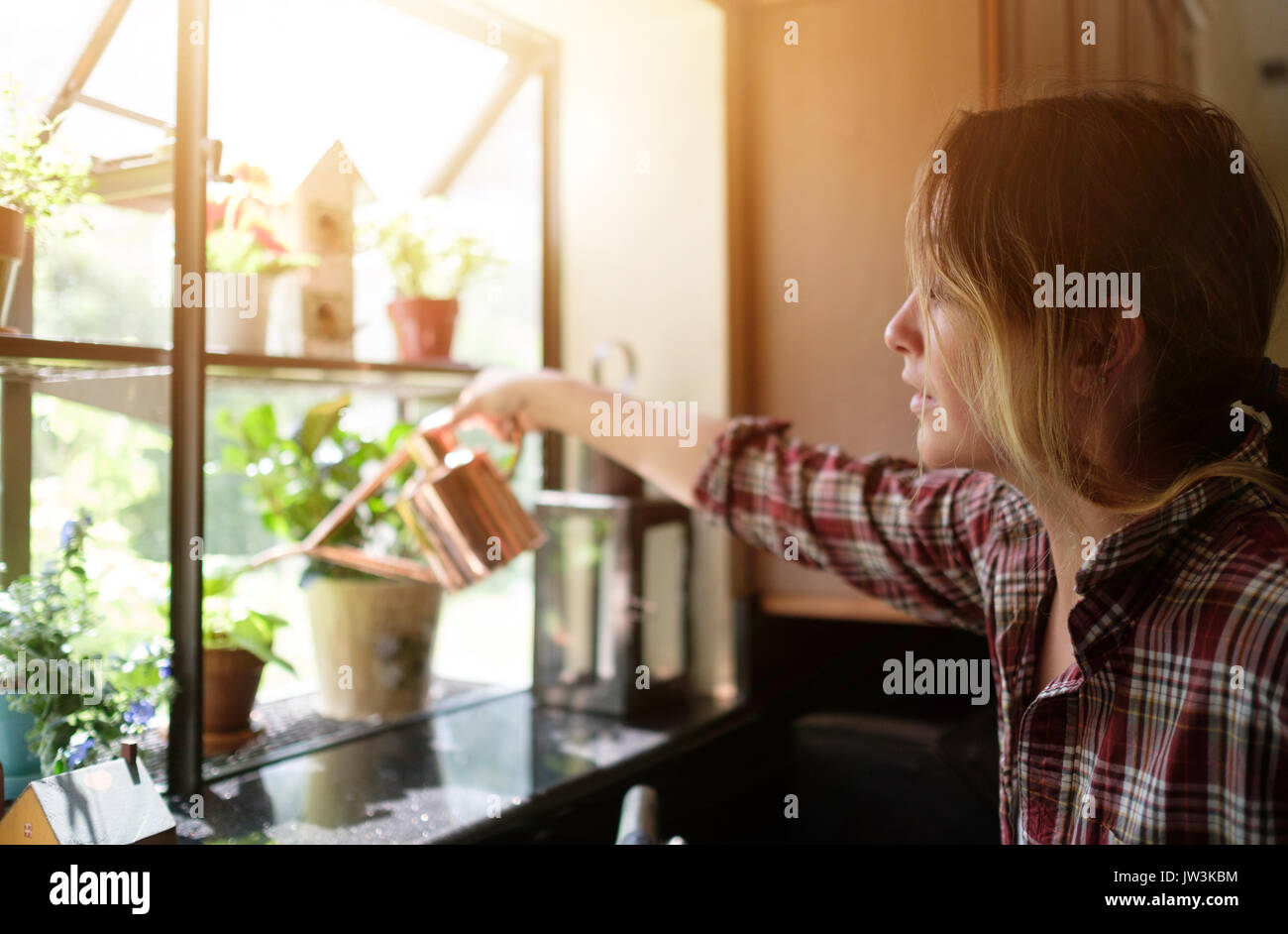 Woman watering plants at home Banque D'Images