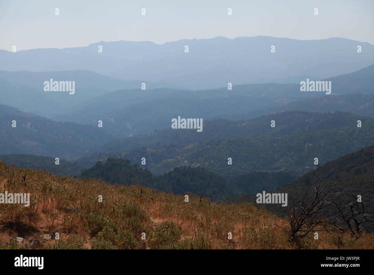 Le Parc National de las Nieves Banque D'Images