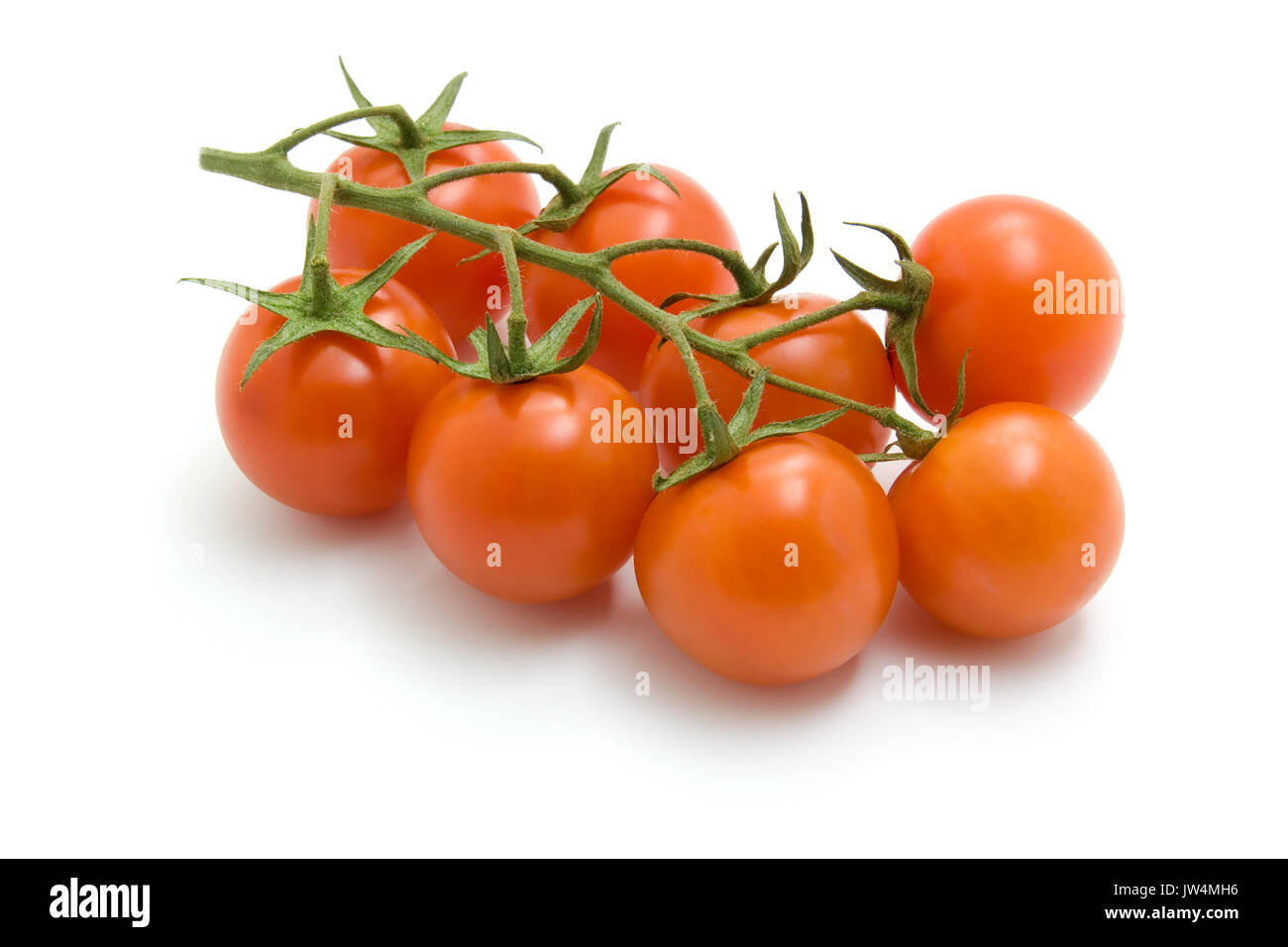 Tomates cerises fraîches mûres sur Branch isolé sur fond blanc en Studio Banque D'Images