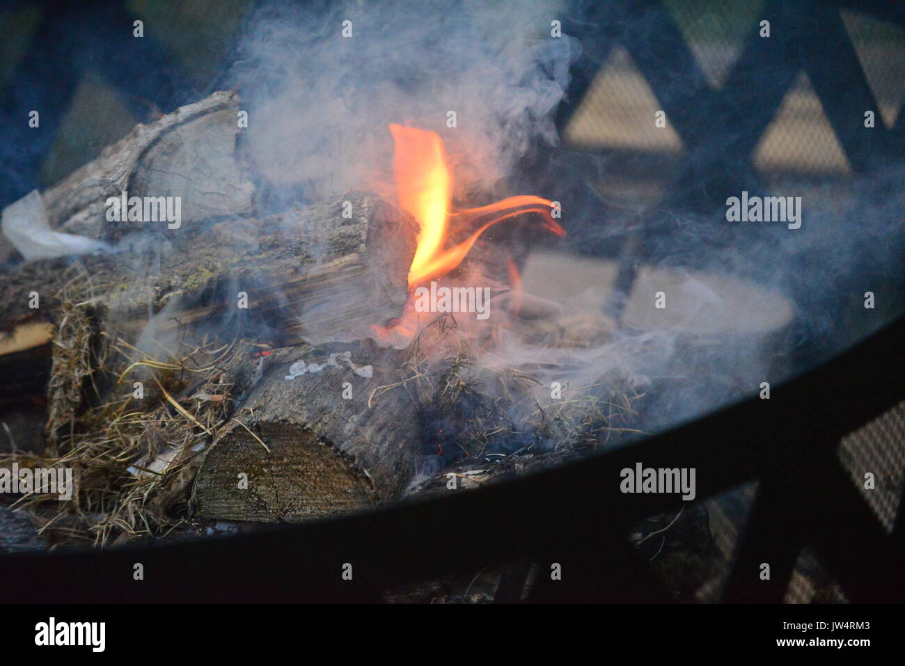 Feu de bois et bois de chauffage Banque D'Images