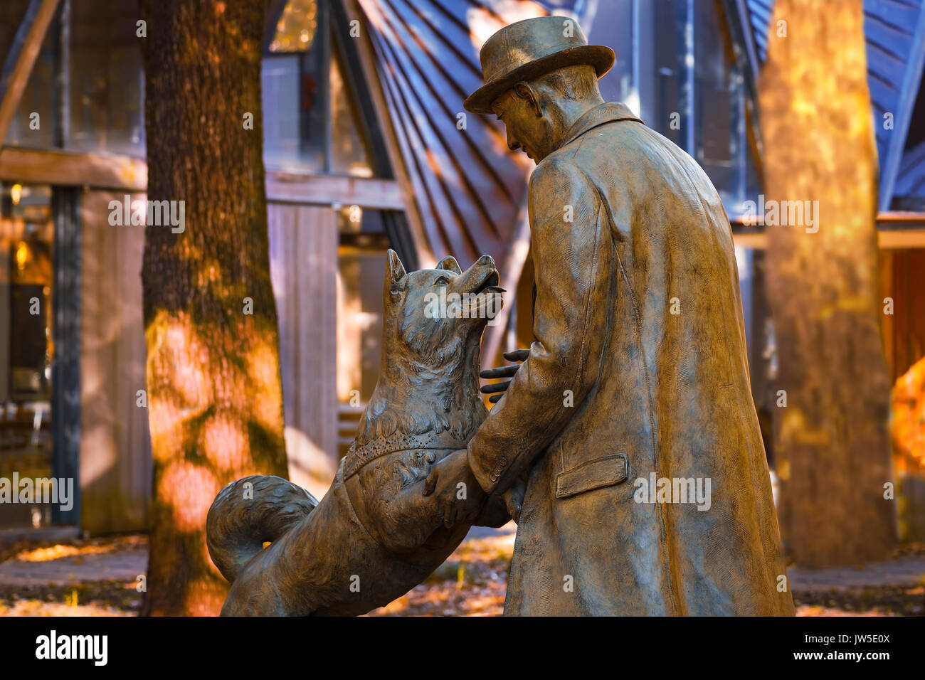 TOKYO, JAPON - 28 NOVEMBRE 2015 : avec le Dr Hachiko statue Hidesaburo Ueno à l'Université de Tokyo, Temple Todai campus, le chien est remarquable loyauté à son propriétaire Banque D'Images