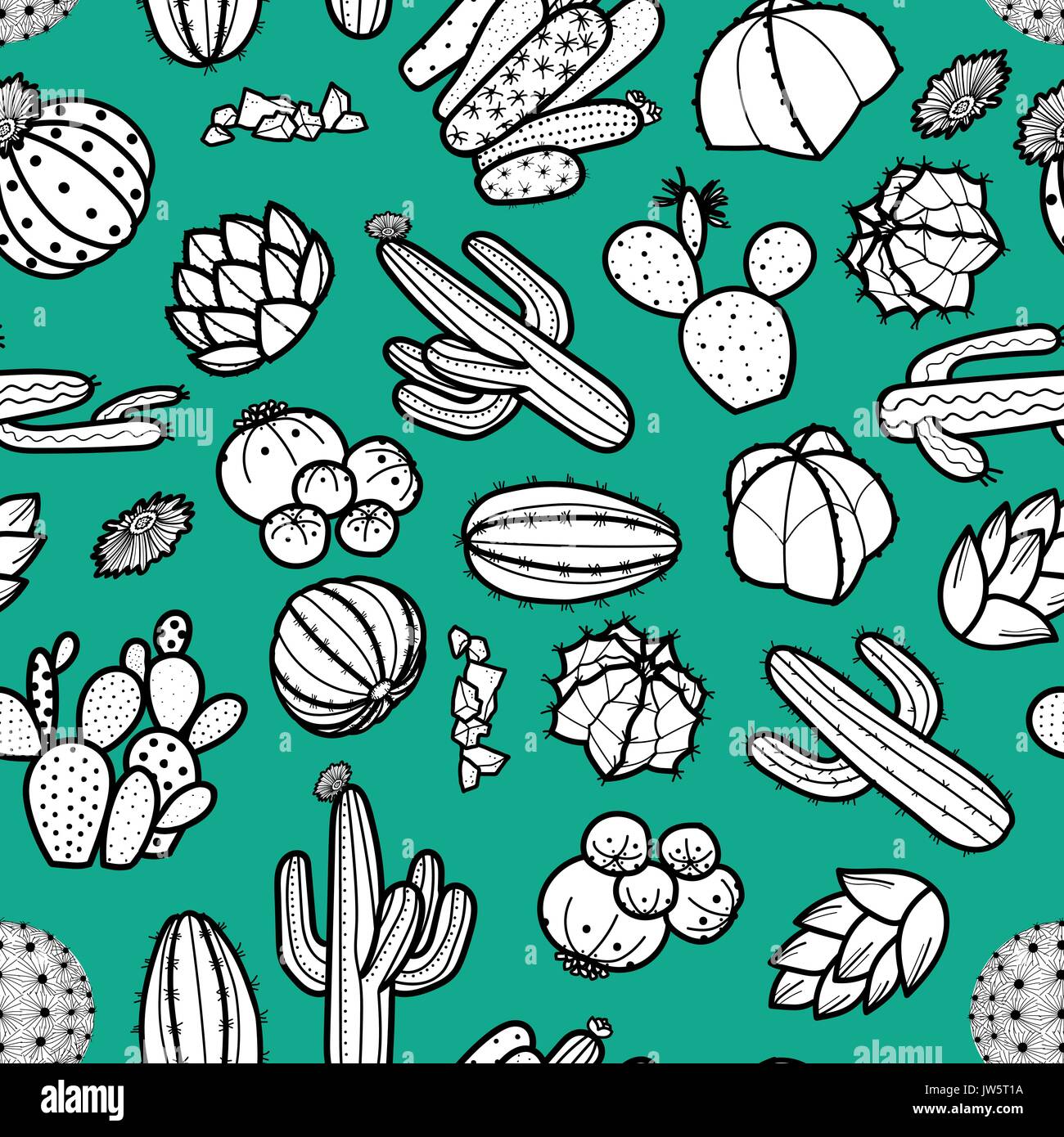 Plantes grasses et cactus en contour noir sur fond vert. rétro style dessiné à la main. vector illustration modèle homogène. Illustration de Vecteur