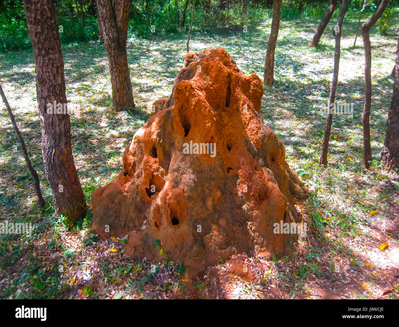 Terre rouge géant termitary termites nest Banque D'Images