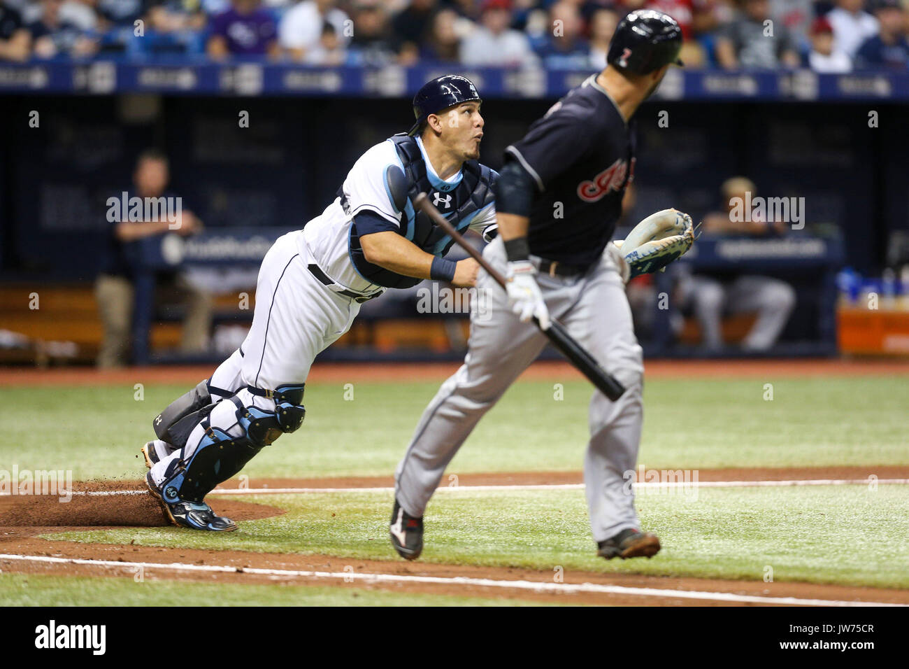 Saint Petersburg, Florida, USA. Août 11, 2017. Vous VRAGOVIC | fois.Rays de Tampa Bay catcher Wilson Ramos (40 plongées) pour la bunt seul par les Indians de Cleveland catcher Yan Gomes (7) dans la cinquième manche du match entre les Indians de Cleveland et les Rays de Tampa Bay au Tropicana Field à Saint-Pétersbourg, en Floride le Vendredi, Août 11, 2017. Credit : Vragovic/Tampa Bay Times/ZUMA/Alamy Fil Live News Banque D'Images