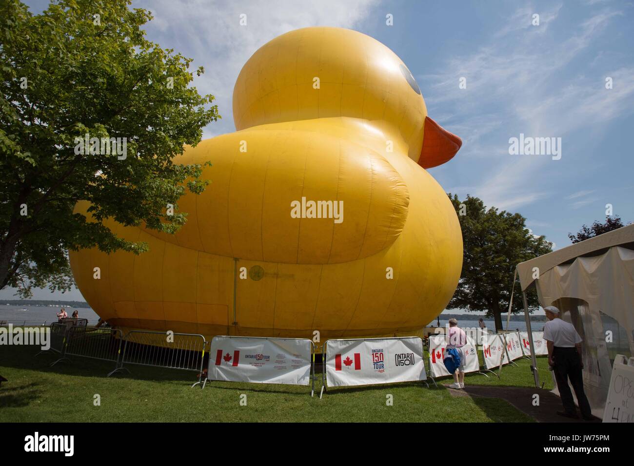 Brockville, Ontario, Canada. 10 août, 2017. Les gens regardent Maman canard, le plus gros canard en caoutchouc gonflables, sur l'île Blockhouse à Brockville, en Ontario, le 10 août 2017. Credit : Lars Hagberg/ZUMA/Alamy Fil Live News Banque D'Images