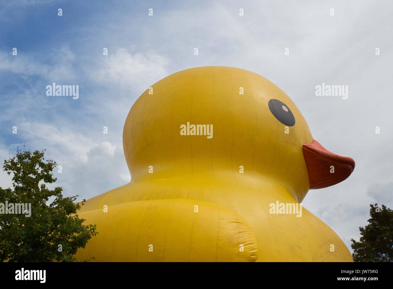 Brockville, Ontario, Canada. 10 août, 2017. Maman canard, le plus gros canard en caoutchouc gonflables, est sur l'affichage sur l'île Blockhouse à Brockville, en Ontario, le 10 août 2017. Credit : Lars Hagberg/ZUMA/Alamy Fil Live News Banque D'Images