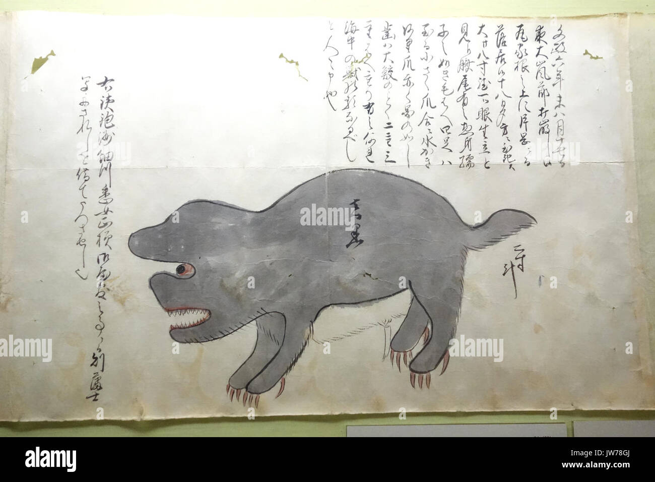 Album d'animaux rares 2, période Edo, 18e siècle, couleur sur papier Musée National de Tokyo DSC05506 Banque D'Images