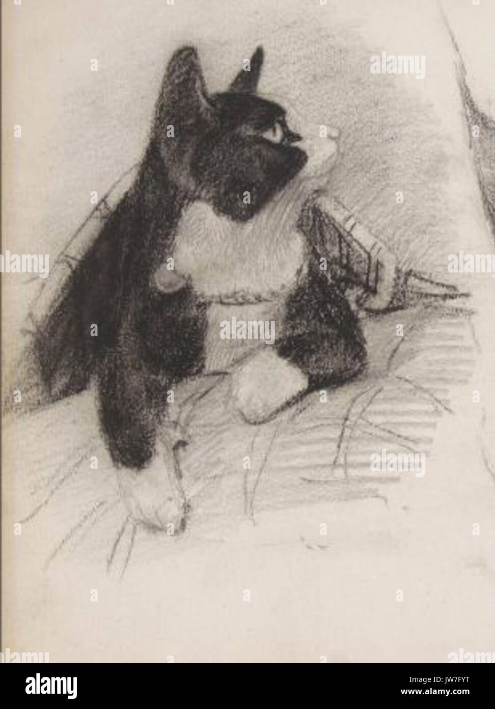 Dessin Chat Charbon Banque D'Images