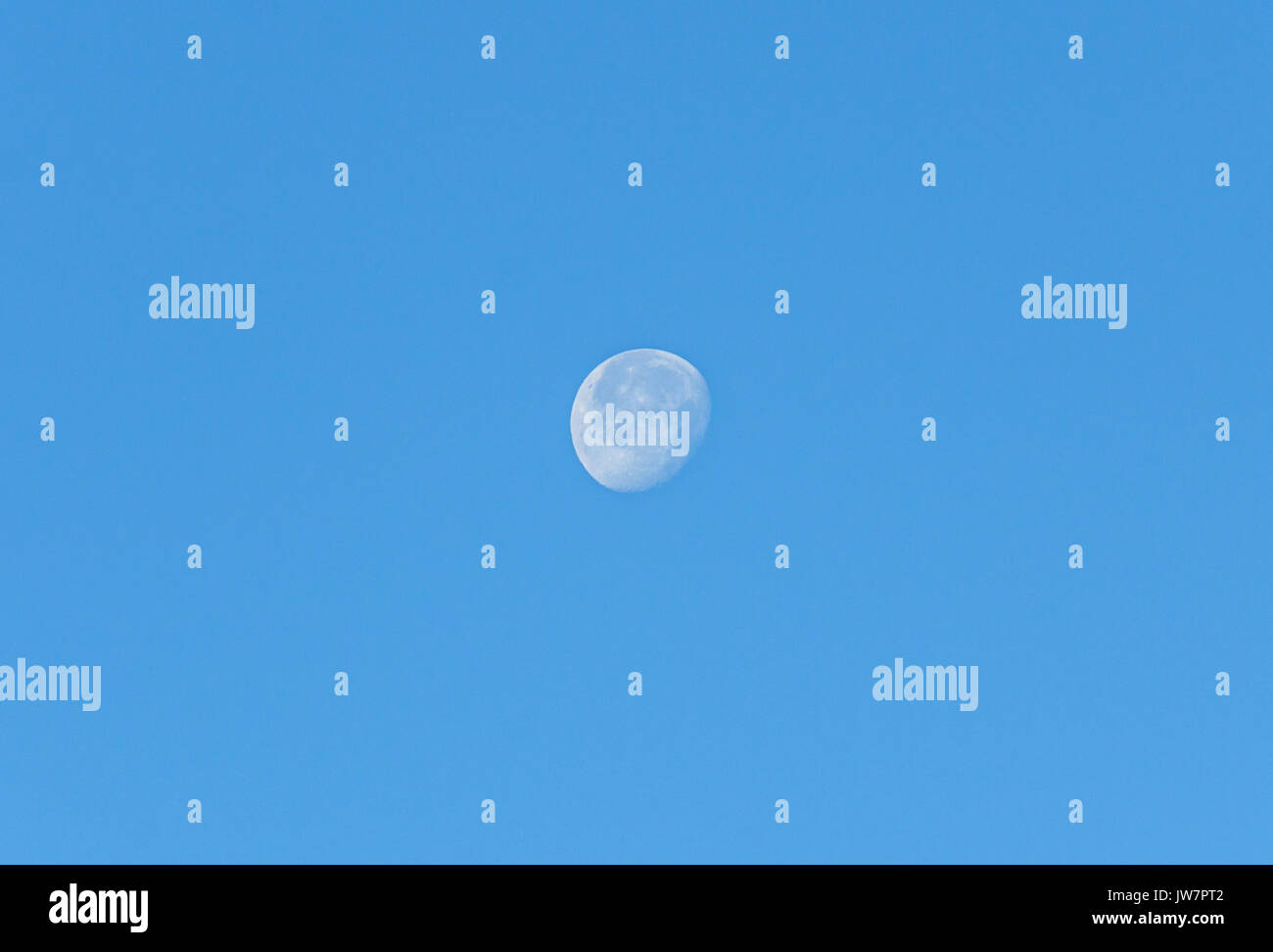 White moon en journée, bleu ciel clair, Close up. Banque D'Images