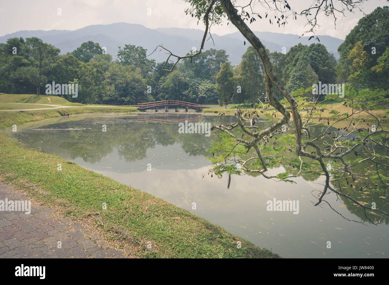 Beau paysage de l'eau reflets dans Taman Tasik, aka Jardins du Lac, dans la ville de Taiping, l'État de Perak, Malaisie Banque D'Images