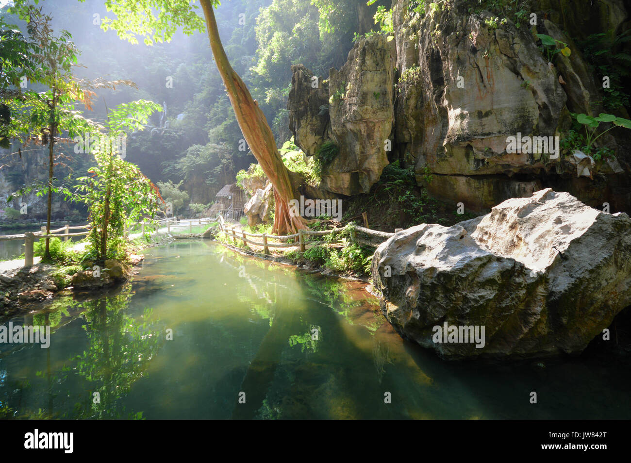 Réflexions de l'eau de la végétation et des calcaires dans la campagne de Ipoh, Perak, Malaisie ville. L'Asie du sud-est Banque D'Images