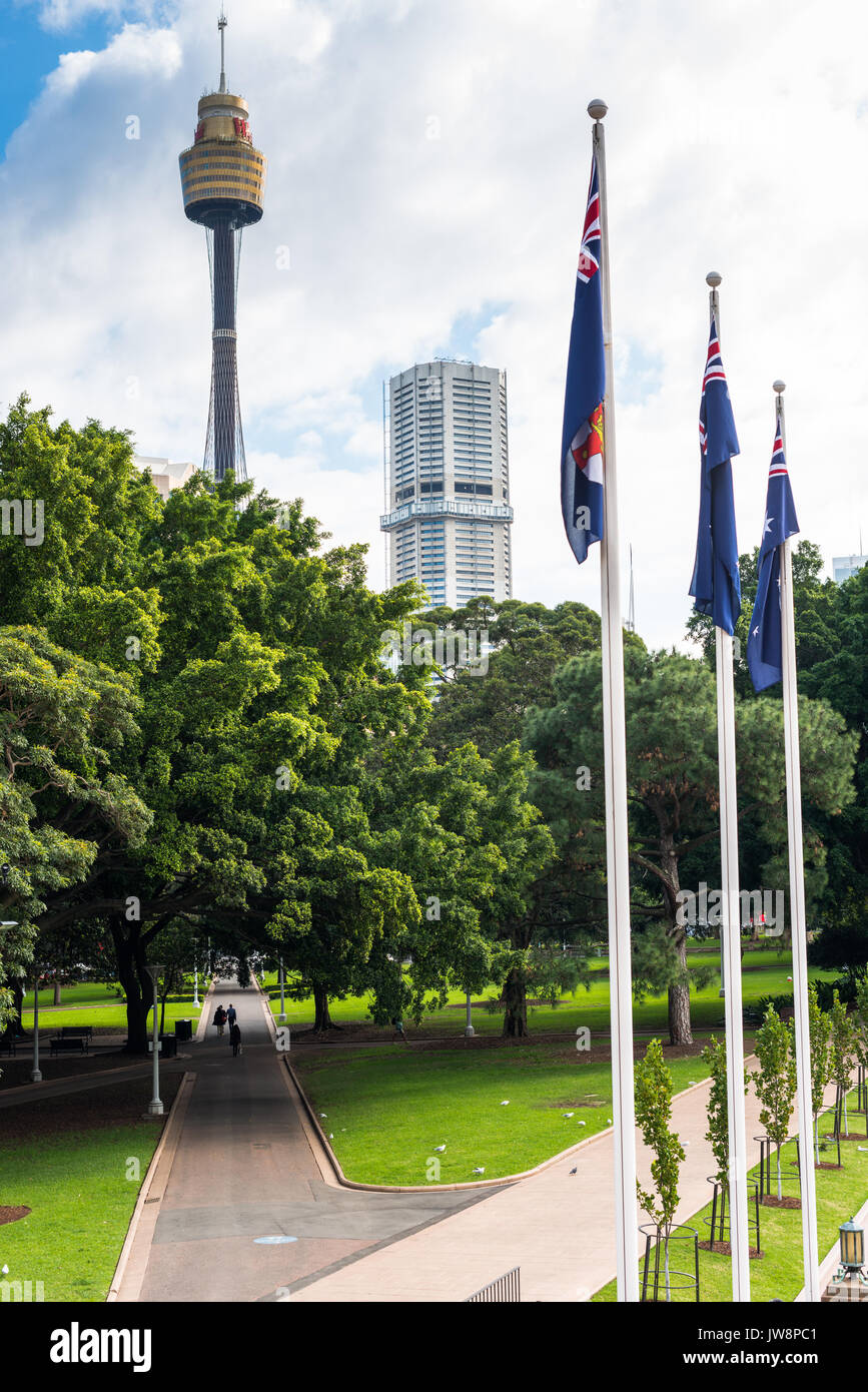 Vues de Hyde Park, avec Sydney's Sky tower. Sydney, Australie. Banque D'Images