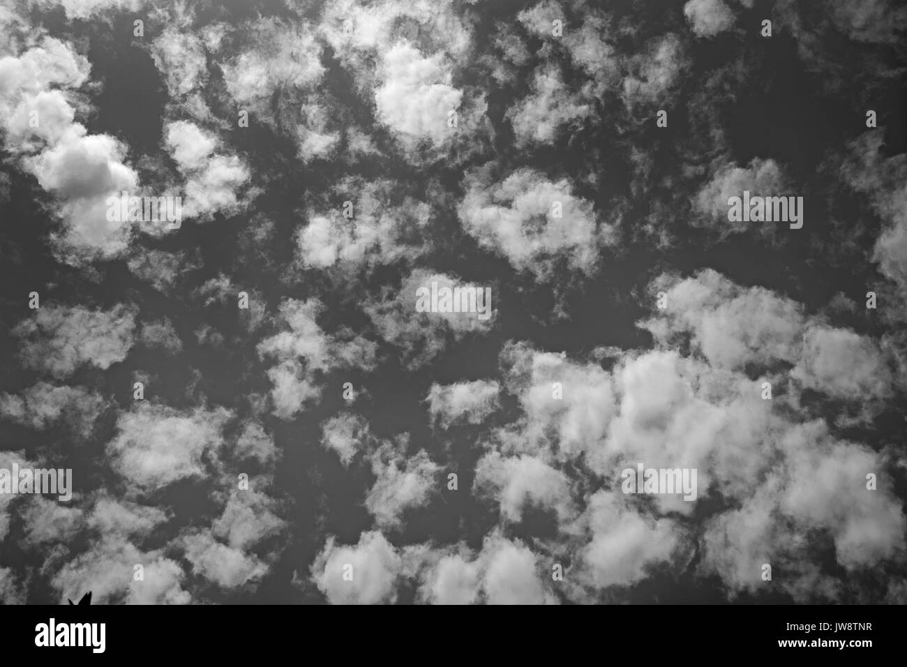 Nuages sur ciel du soir en noir et blanc de la texture d'arrière-plan Banque D'Images