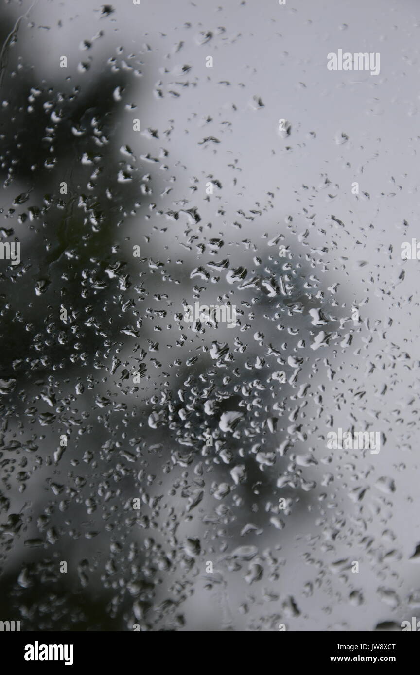 Gouttes de pluie sur la fenêtre Banque D'Images