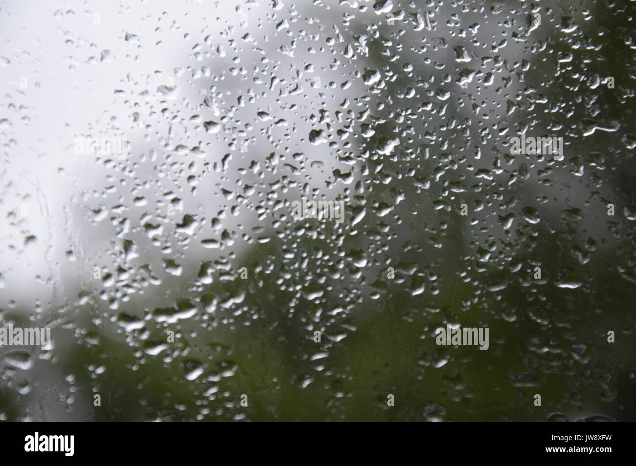 Gouttes de pluie sur la fenêtre Banque D'Images