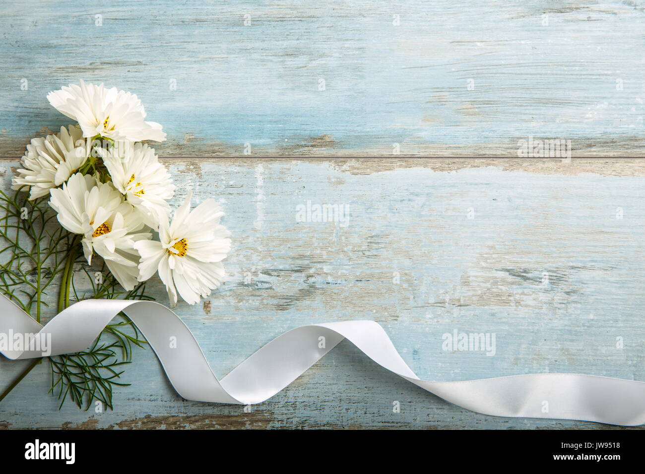 Un Bouquet De Fleurs Blanches Cosmea Ou Cosmos Avec Le Ruban