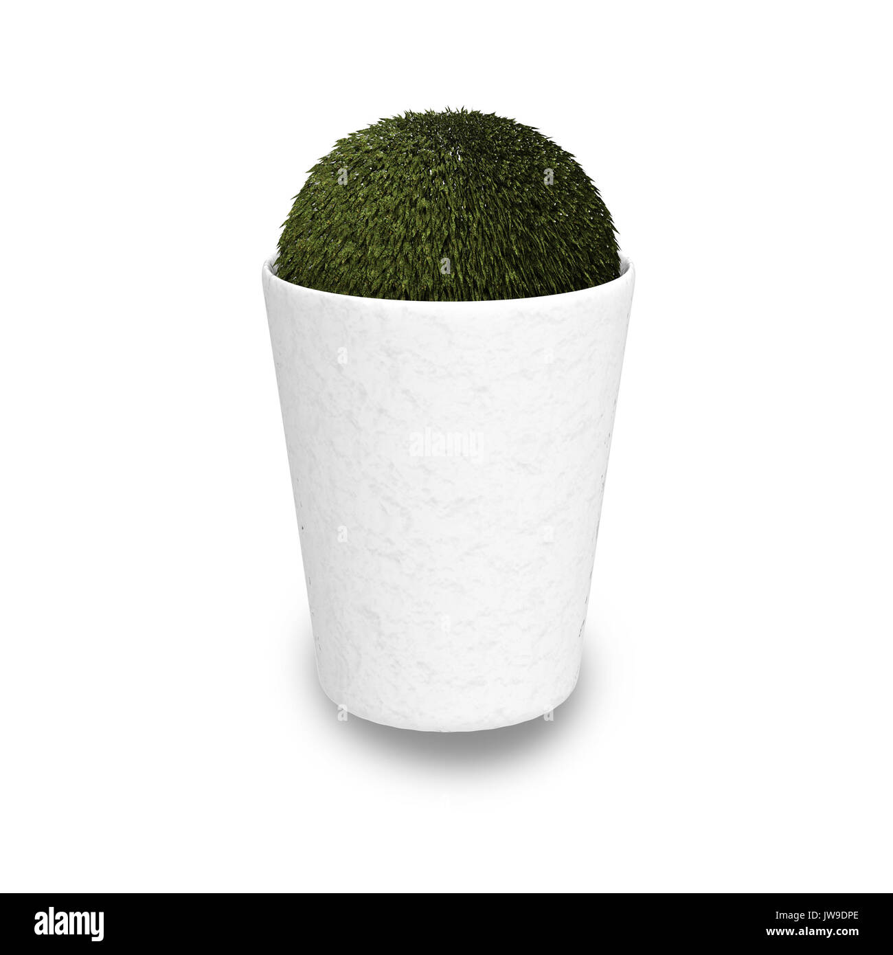 Le rendu 3D de plantes en pot sur fond blanc Banque D'Images