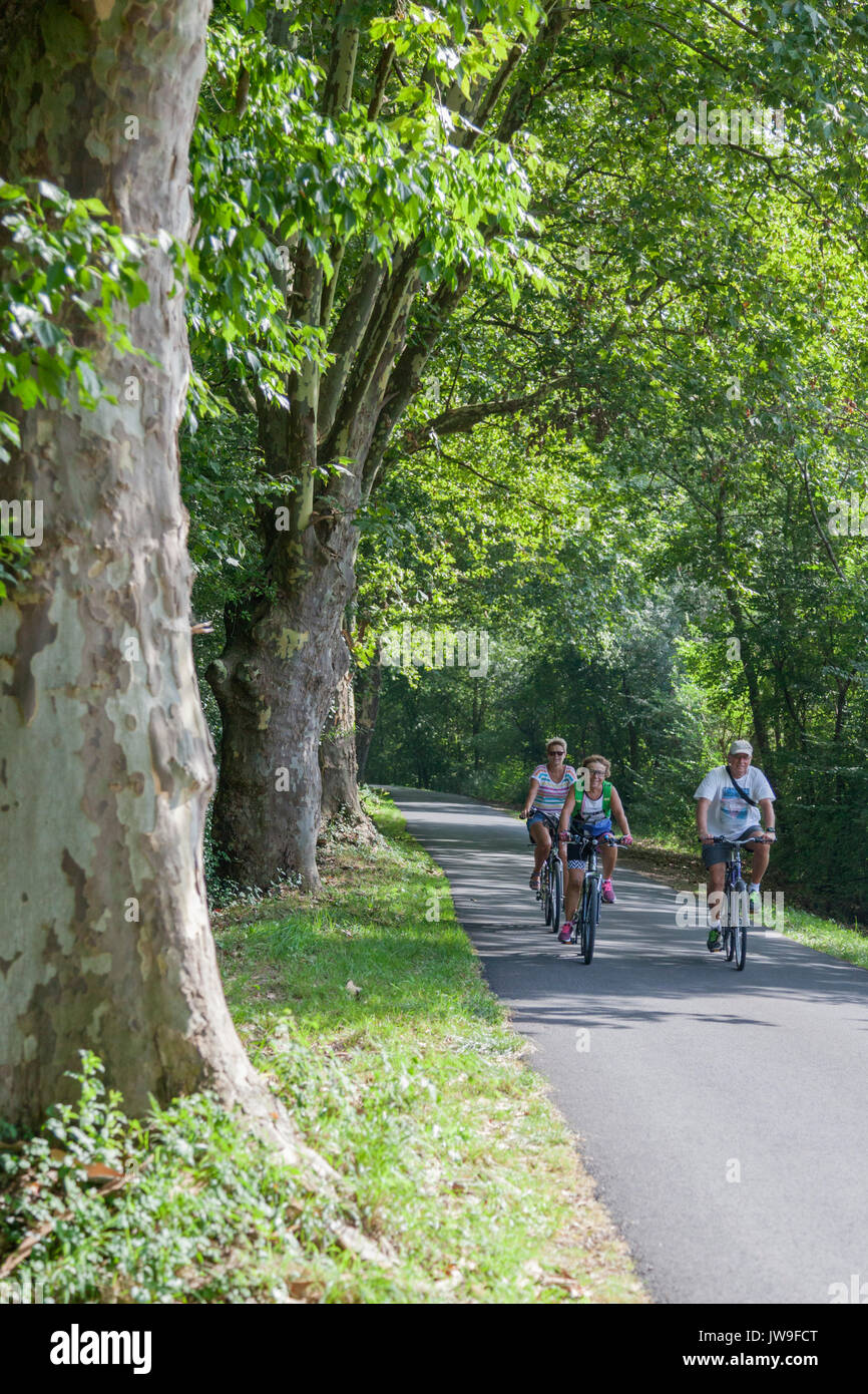 Une famille à vélo doucement le long d'une rangée de plusieurs centaines de platanes centenaires, sur l'ancien chemin de halage de l'Adour (Saubusse - Landes - France). Banque D'Images
