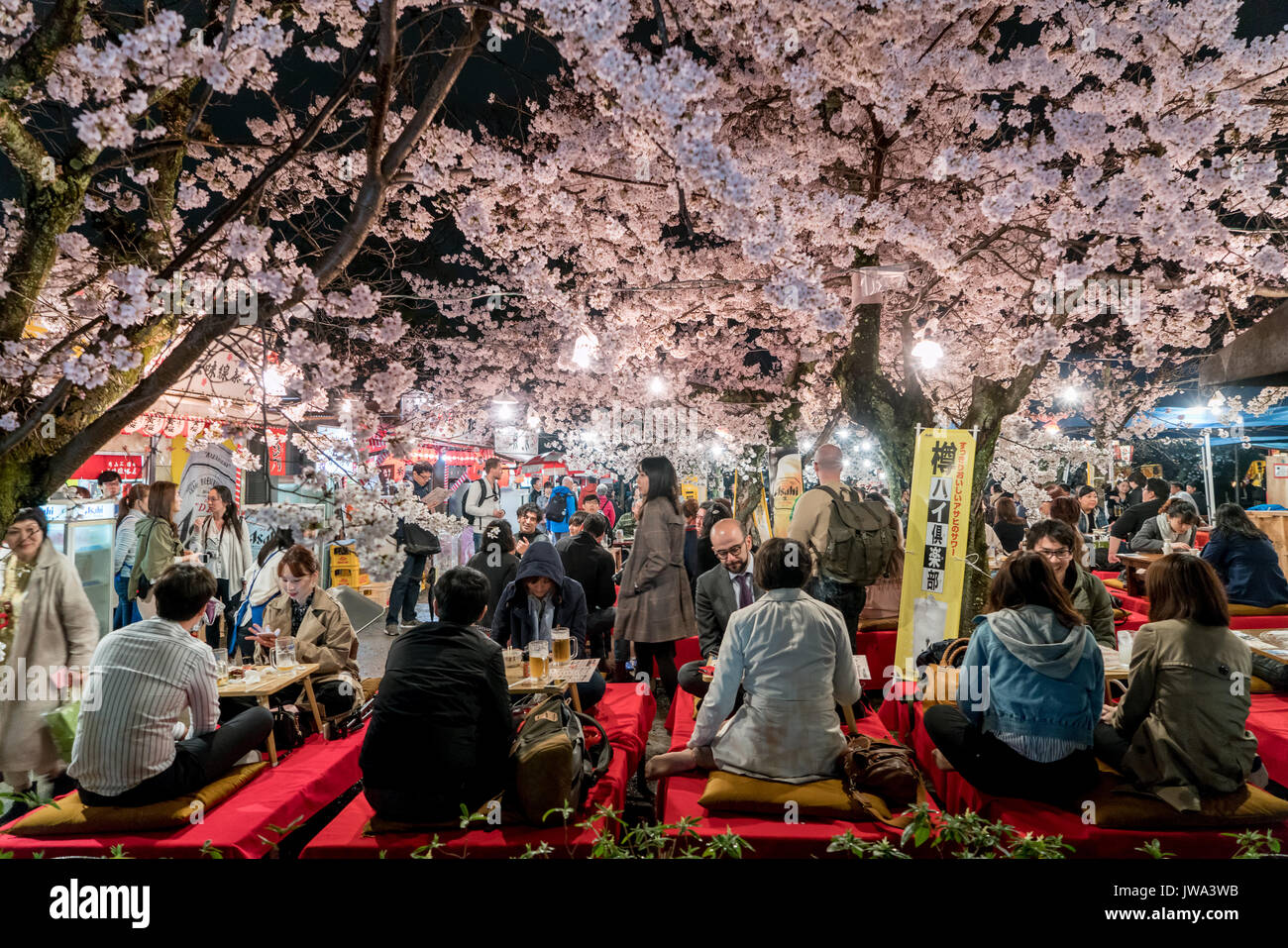 KYOTO, JAPON - 7 avril, 2017 : Japon foule profiter du printemps les cerisiers en fleurs à Kyoto en participant au nuit saisonniers festivals Hanami dans parc Maruyama Banque D'Images