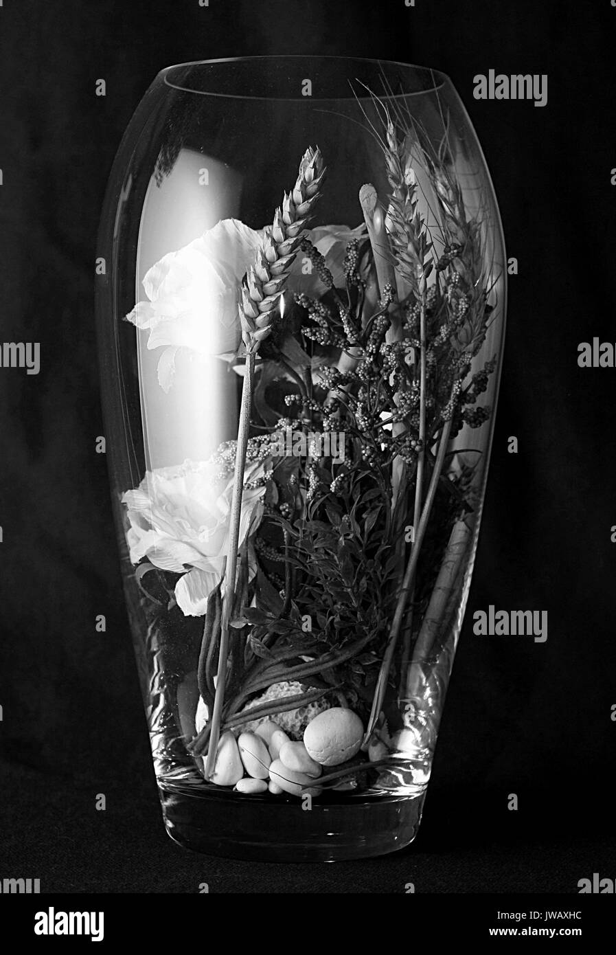Pot en verre avec des fleurs séchées, Noir & Blanc Banque D'Images