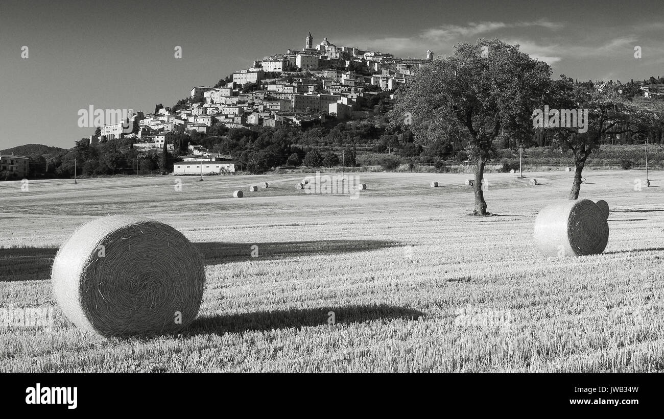Noir et blanc voir Trevi Ombrie (Italie) au cours de l'été avec des balles de foin. Le format paysage. Banque D'Images