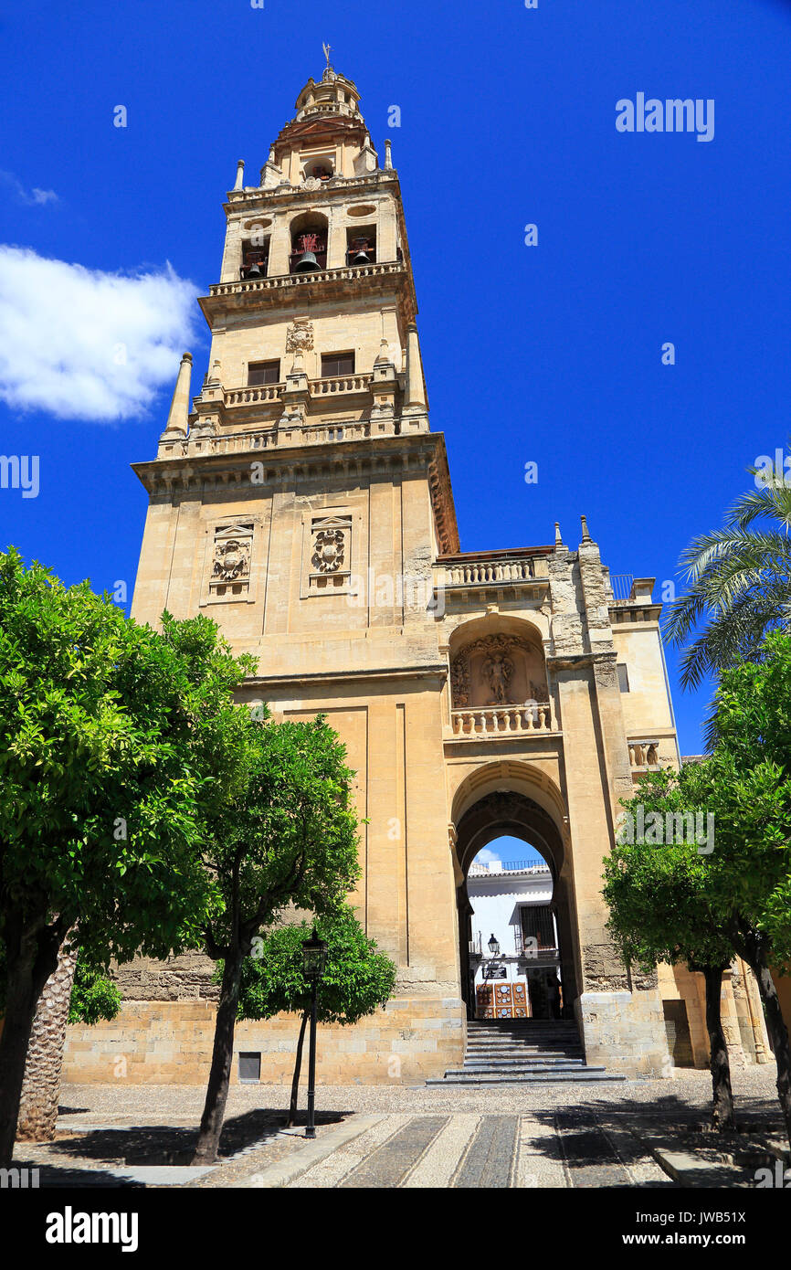 Clocher de la cathédrale et de la mosquée de Cordoue, Espagne Banque D'Images