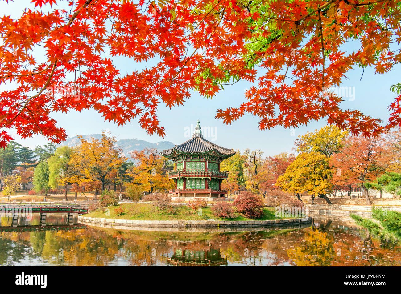 Gyeongbokgung et Soft focus de l'érable en automne, Corée. Banque D'Images