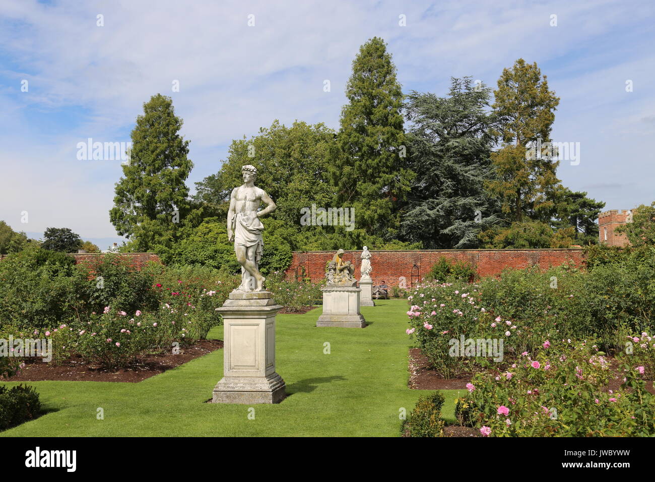 Jardin de roses, Hampton Court Palace, East Molesey, Surrey, Angleterre, Grande-Bretagne, Royaume-Uni, UK, Europe Banque D'Images