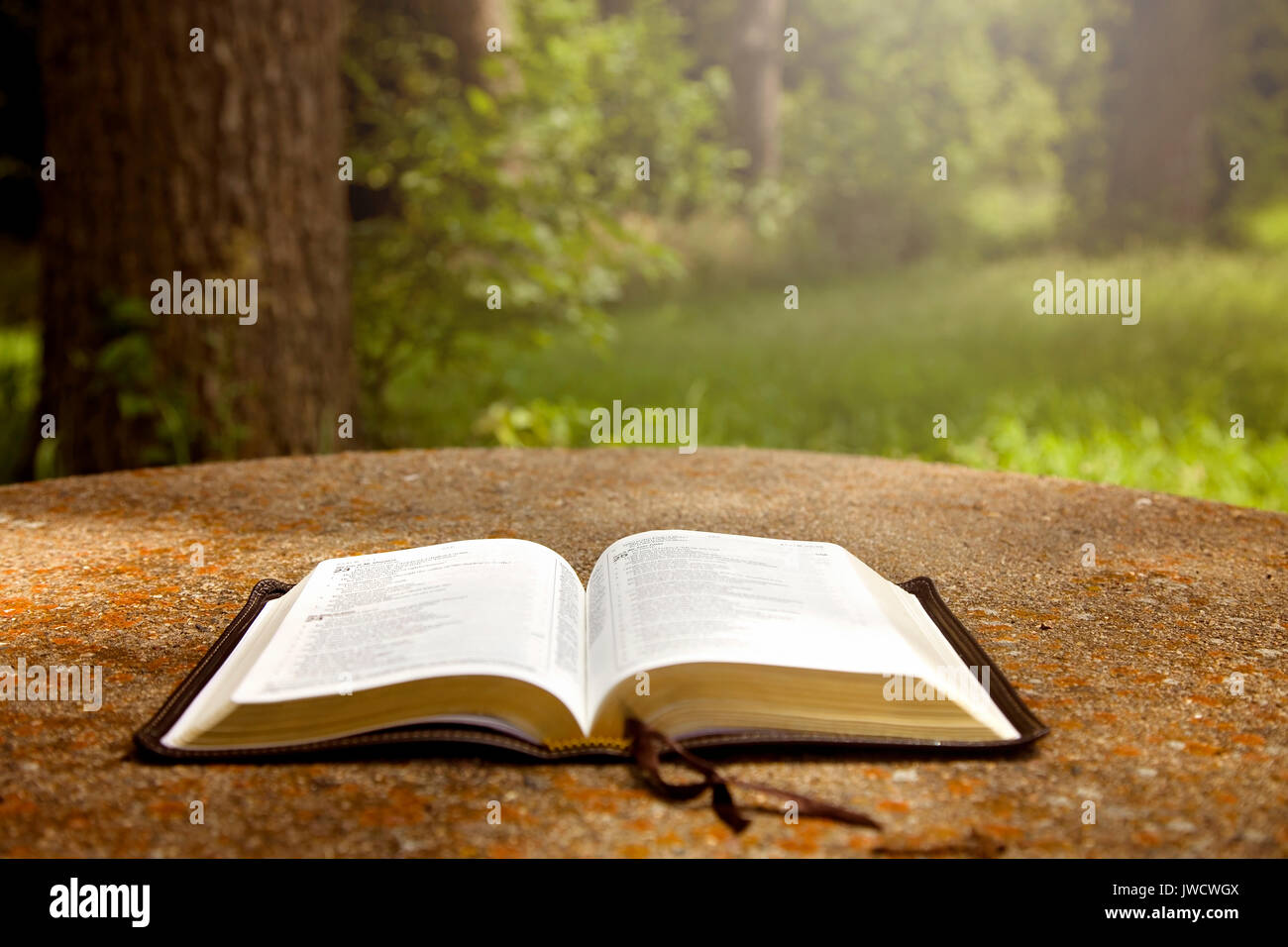 Une Bible ouverte sur une table dans un jardin verdoyant Banque D