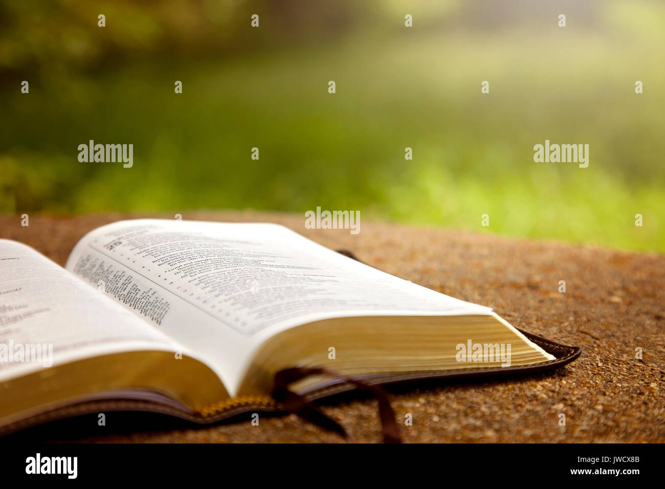 Une Bible Ouverte Sur Une Table Dans Un Jardin Verdoyant Photo Stock Alamy Une Bible Ouverte Sur Une Table Dans Un Jardin Verdoyant Photo Stock Alamy