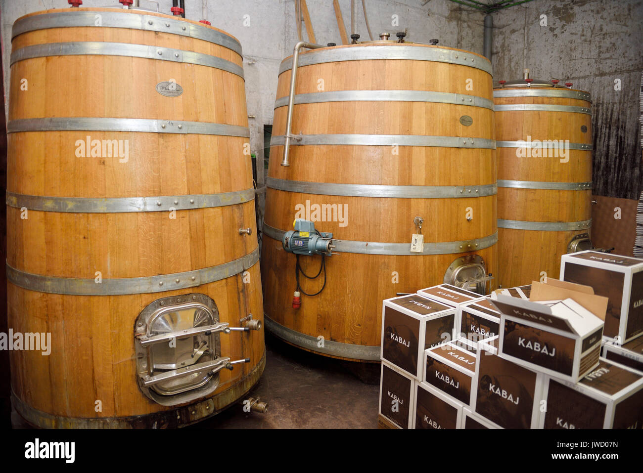 Grand Chêne barriques fermentation à Kabaj Morel Guest House and winery 34070 Slovrenc Brda Slovénie Banque D'Images