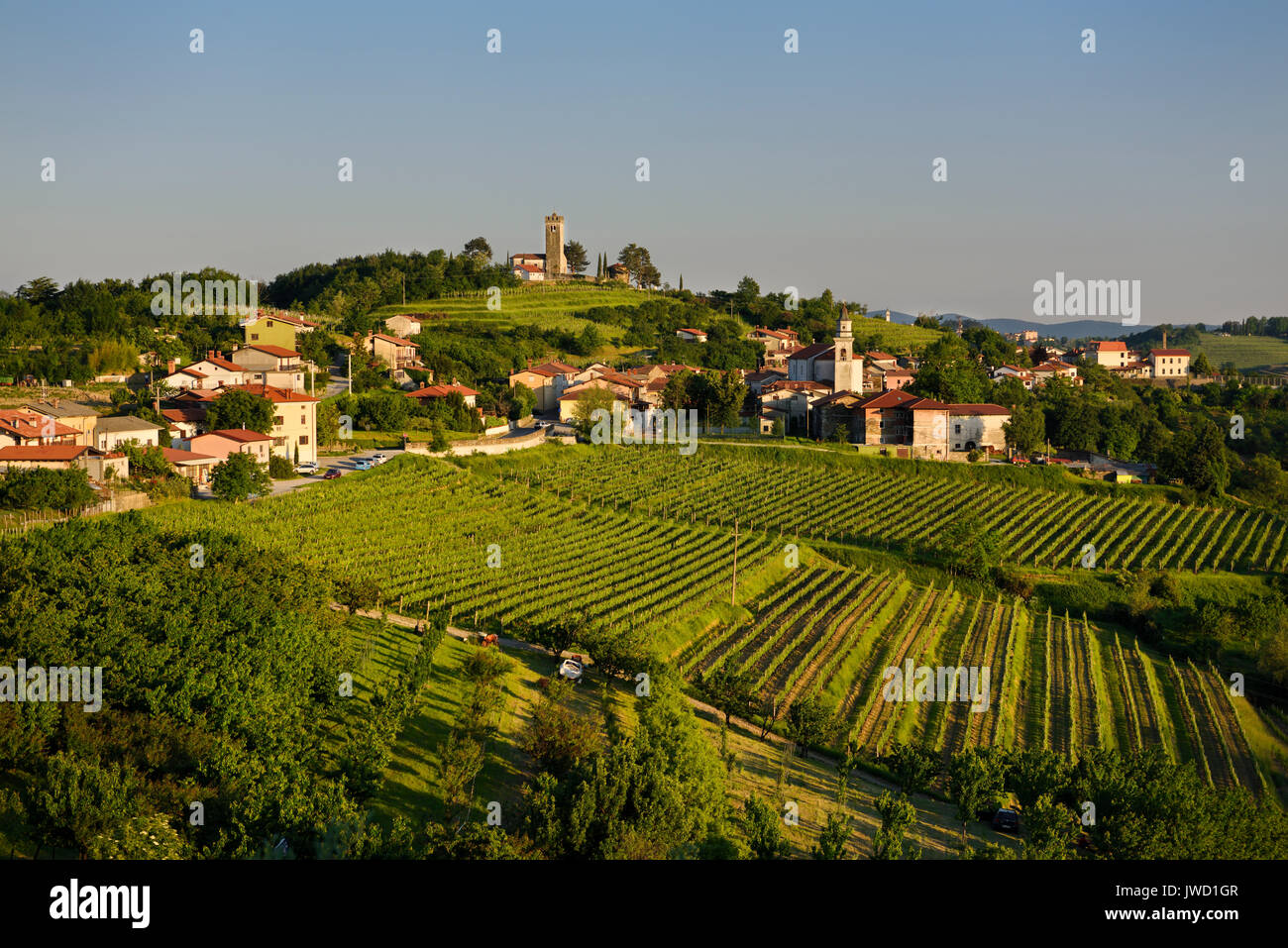 La lumière au coucher du soleil sur les vignes et l'église de la Sainte Croix et l'église de l'assomption de Marie dans l'Hôtel Gorizia Hills à Kojsko Brda Slovénie Banque D'Images