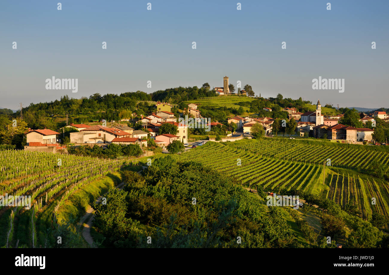 Lumière du soir sur les vignes et l'église de la Sainte Croix et l'église de l'assomption de Marie dans l'Hôtel Gorizia Hills à Kojsko Brda Slovénie Banque D'Images