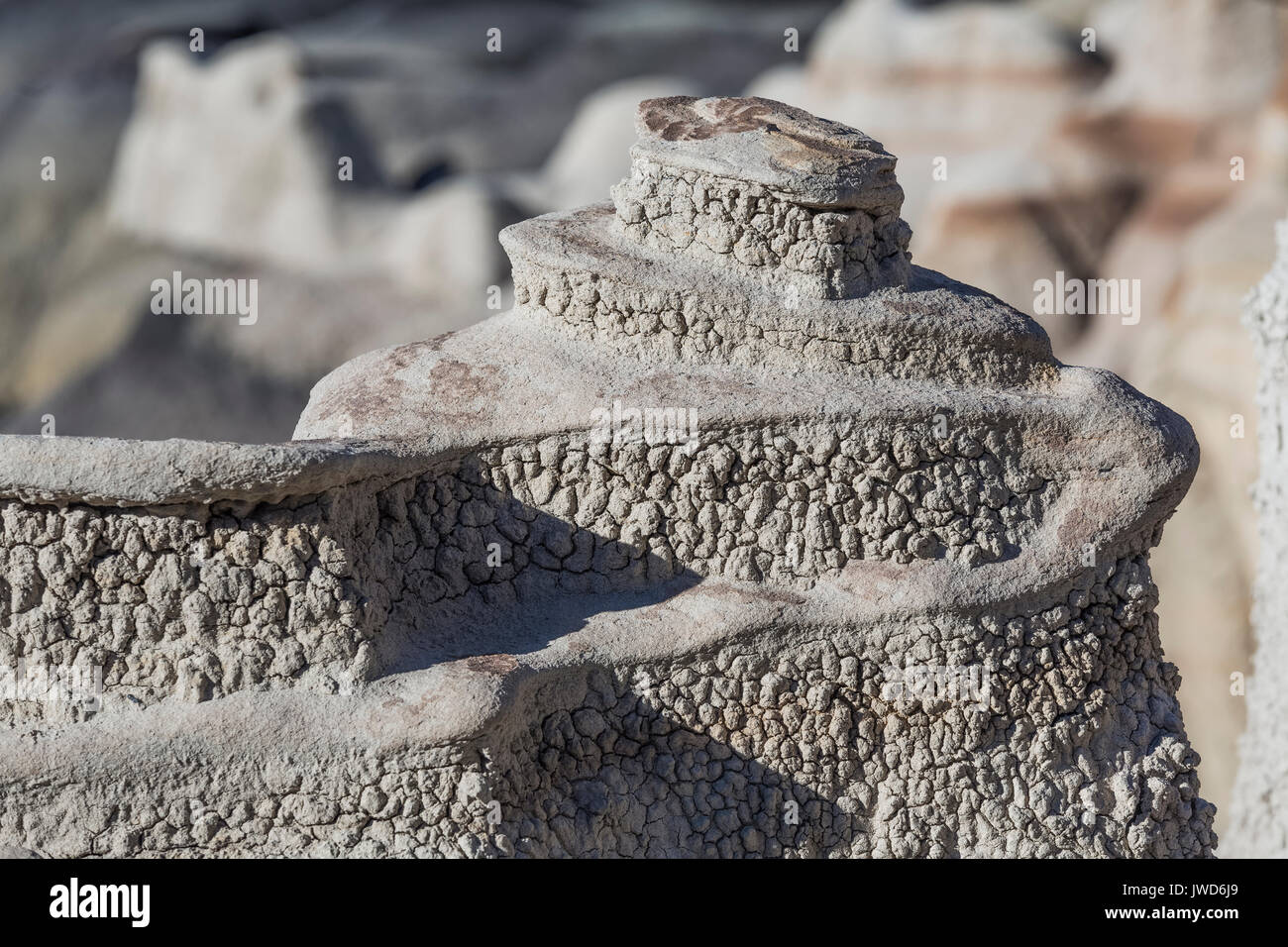 La formation d'argile érodée miniature qui n'est pas sans rappeler d'un château dans la Bisti/De-Na-Zin désert près de Farmington, New Mexico, USA Banque D'Images