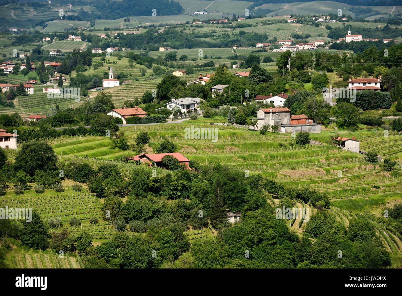 Vignes près de 34070 avec St Marie de la neige Église dans Snezece et Saint Lawrence church in Slovrenc Brda Slovénie Banque D'Images